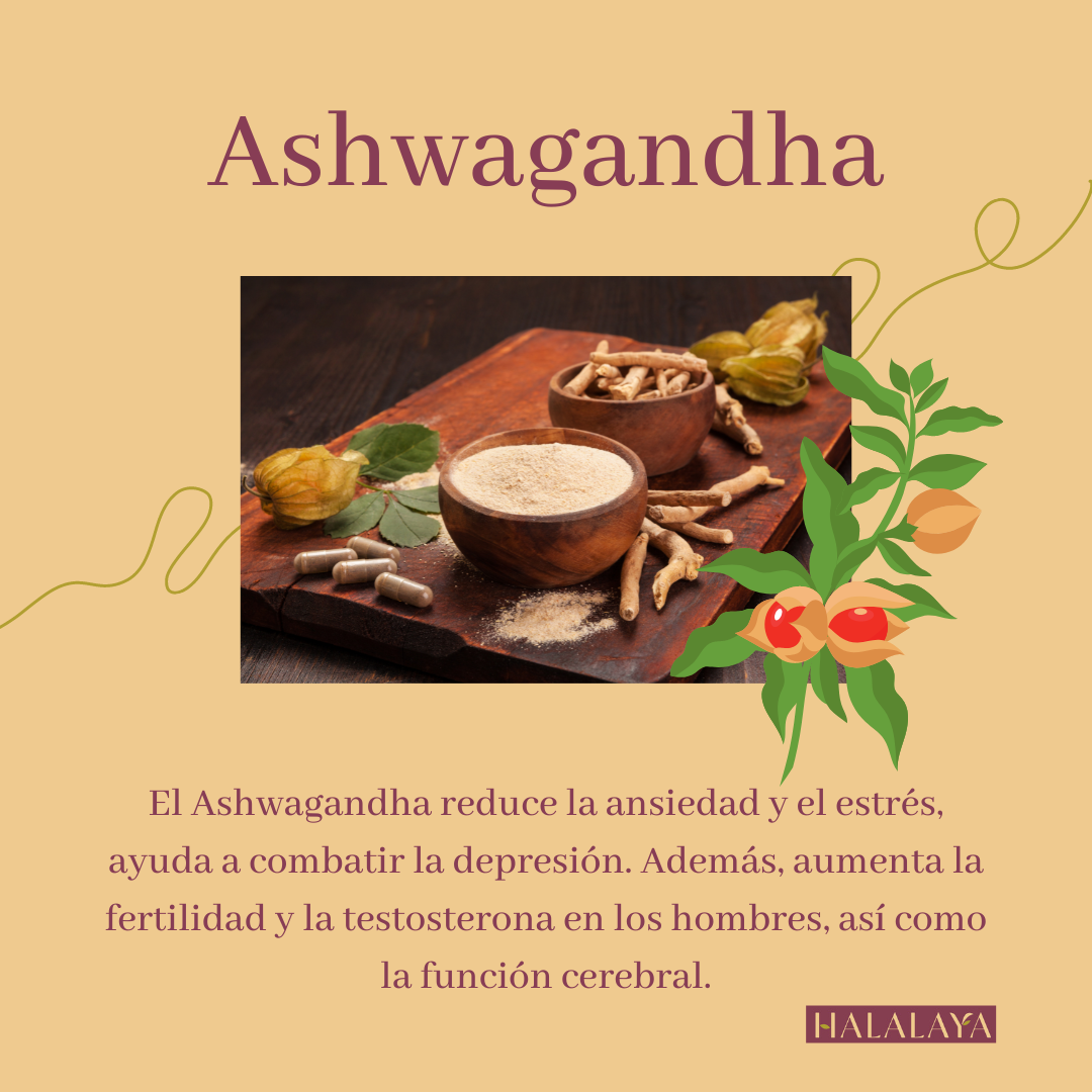 Ashwagandha: Una antigua hierba medicinal en Ayurveda