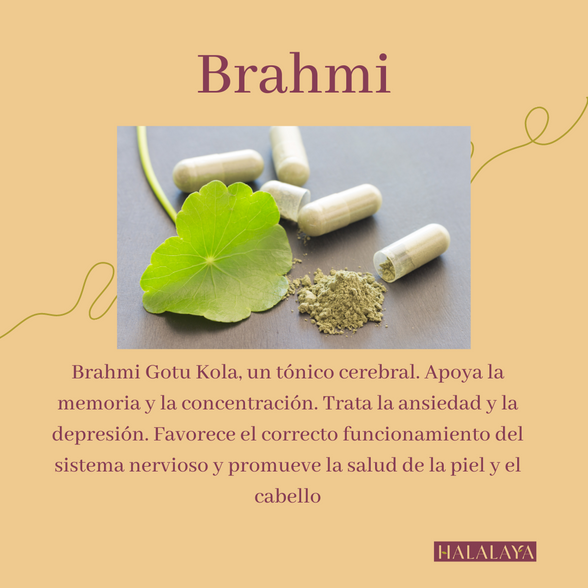 Halalaya: Brahmi, Gotu Kola o Centella Asiática
