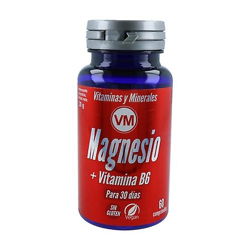 Magnesio + Vitamina B6 60 Comprimidos - Ynsadiet